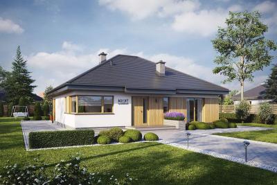 Проект Шишки